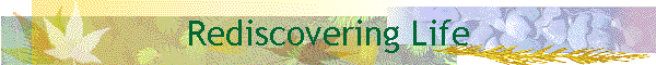 Rediscovering Life