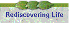 Rediscovering Life